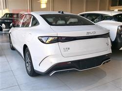 بي واي دي سيل 06 DM-i